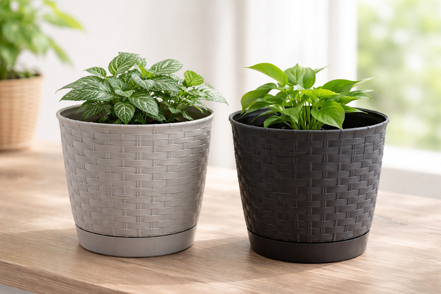 Törésálló kaspó alátéttel